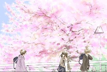 琼崖2海角孟书晗离婚